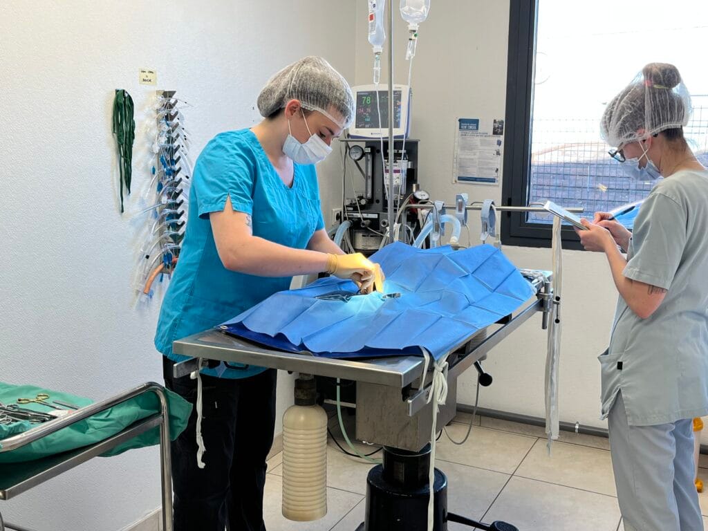Chirurgie